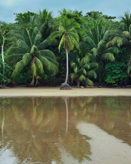 Vamos a la playa 🏝️