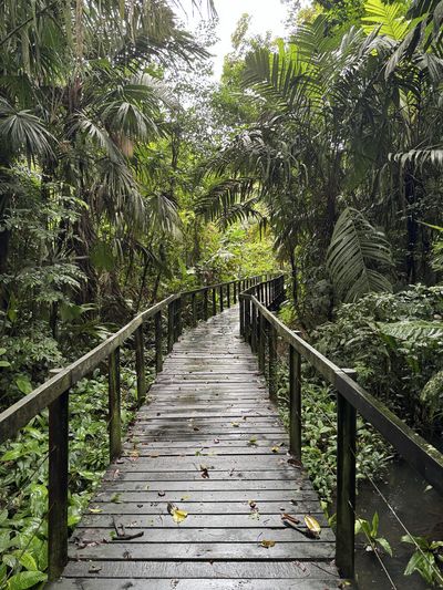 Cahuita