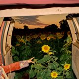 ‘Little Wide Open’ van Kevin Morby