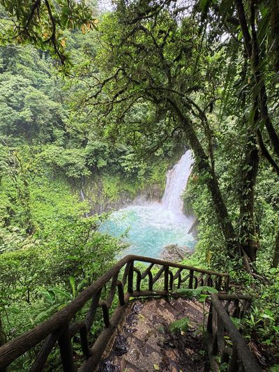 Rio Celeste
