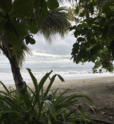 Playa Cahuita